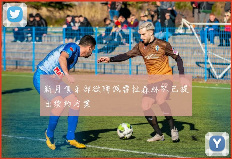 新月俱乐部欲聘佩雷拉森林队已提出续约方案