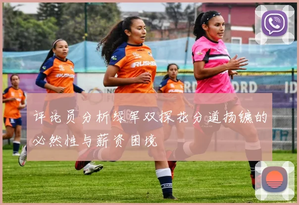 评论员分析绿军双探花分道扬镳的必然性与薪资困境